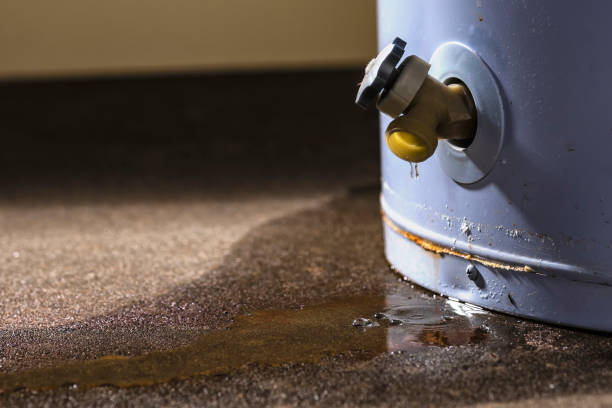 Best 24/7 water damage repair  in Fremont, IN