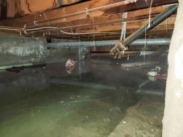 Best Professional water damage repair  in Fremont, IN