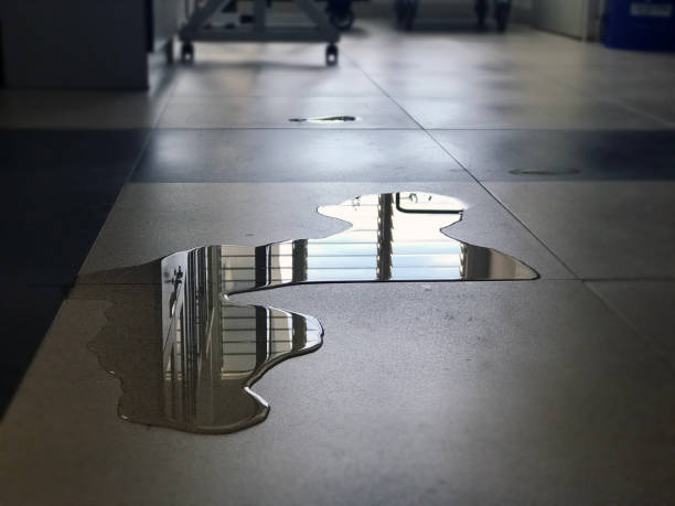 Best Water damage restoration near me  in Fremont, IN