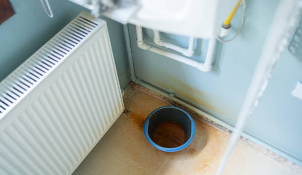Best Carpet water damage restoration  in Fremont, IN