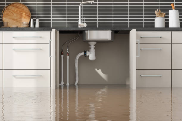 Best Water damage restoration process  in Fremont, IN